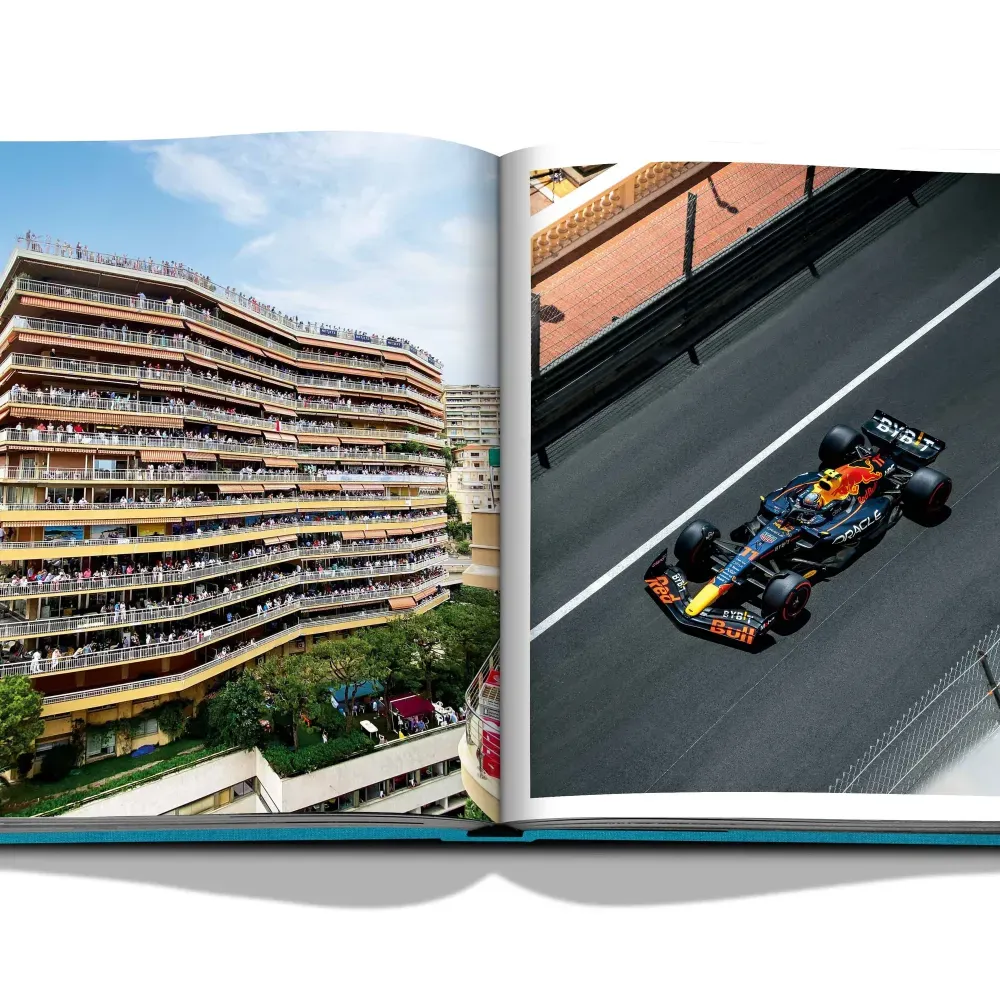 Книга Monte Carlo фото 8