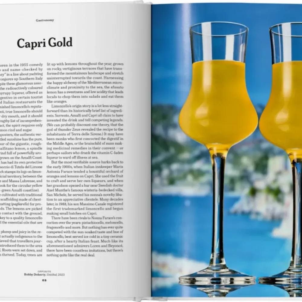 The Gourmand’s Lemon. A Collection of Stories and Recipes фото 7