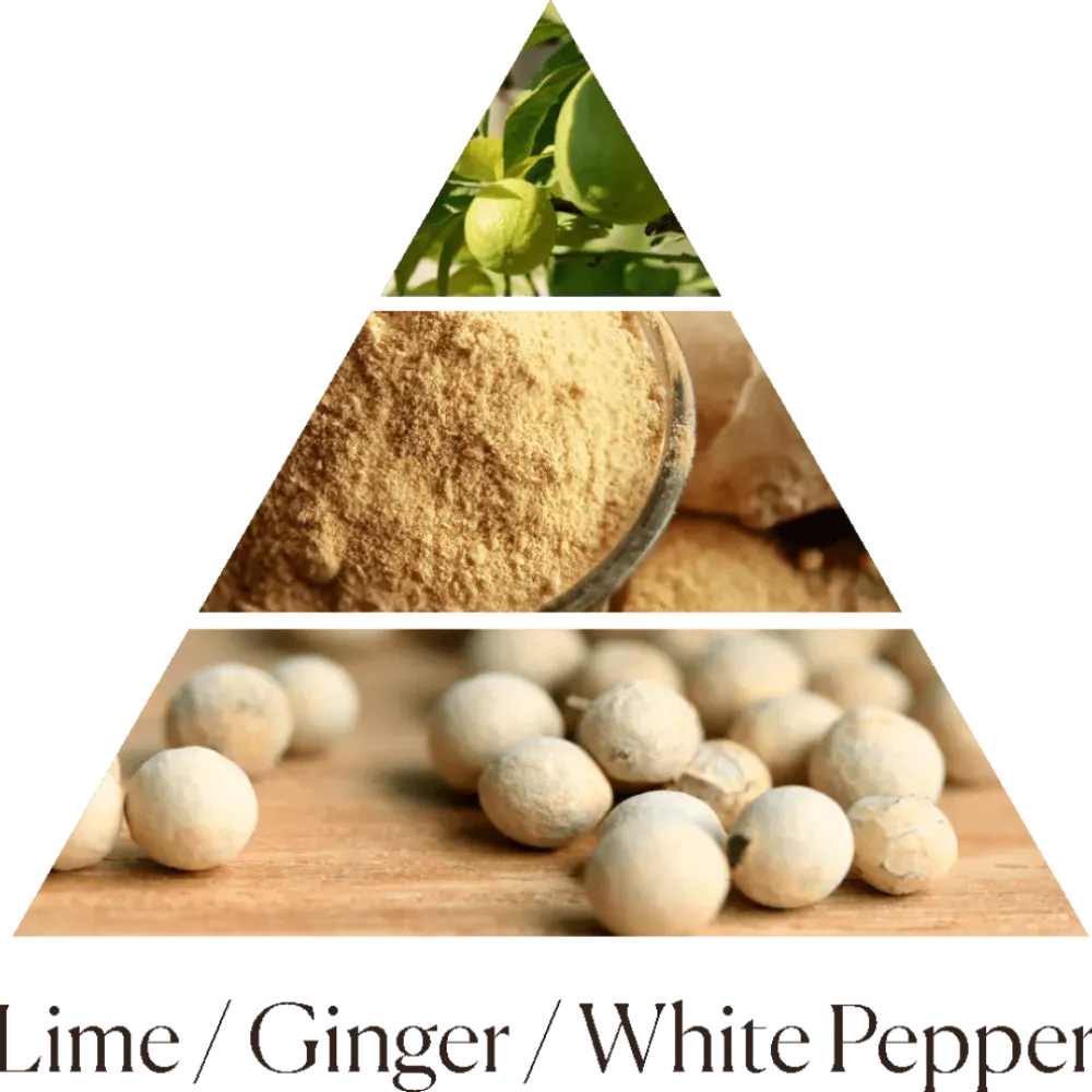 Дифузор Ginger Lime 250 ml фото 3