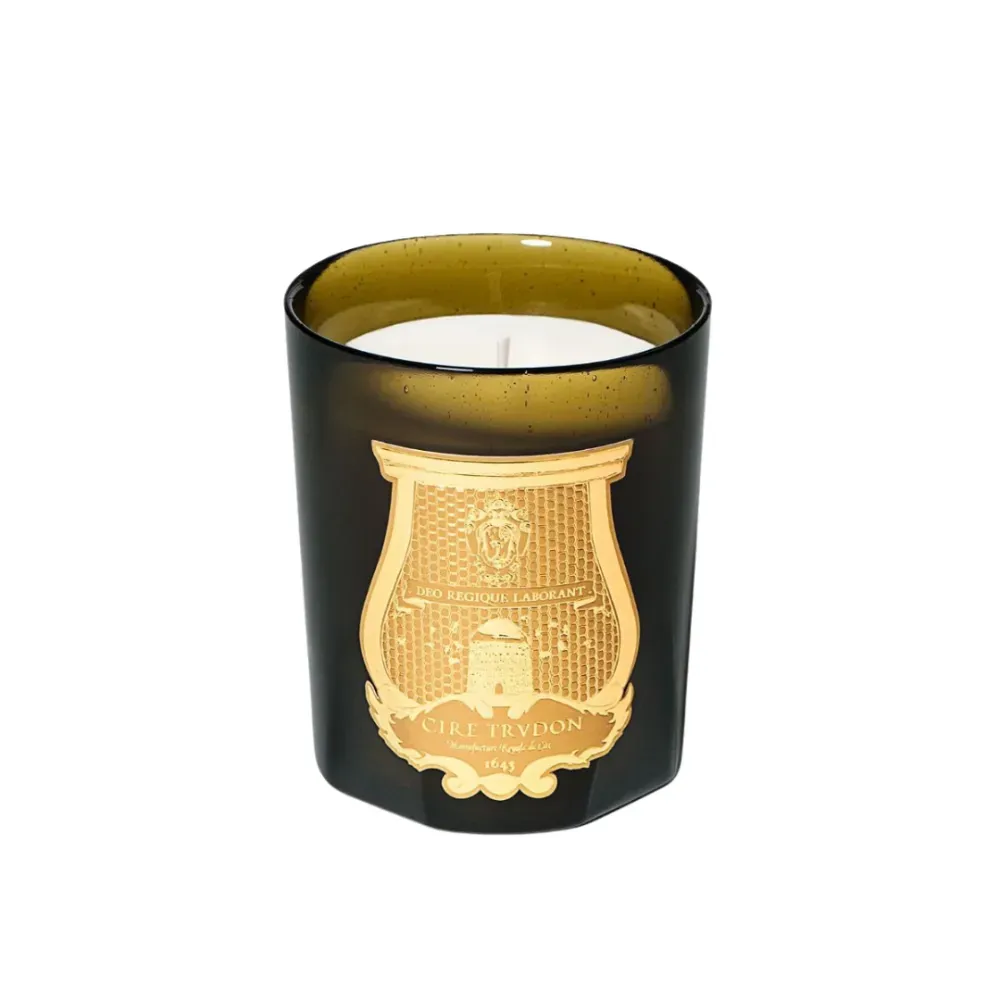 Candle ERNESTO 270 g фото 1
