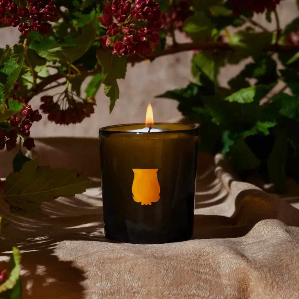 Candle ERNESTO 270 g фото 4