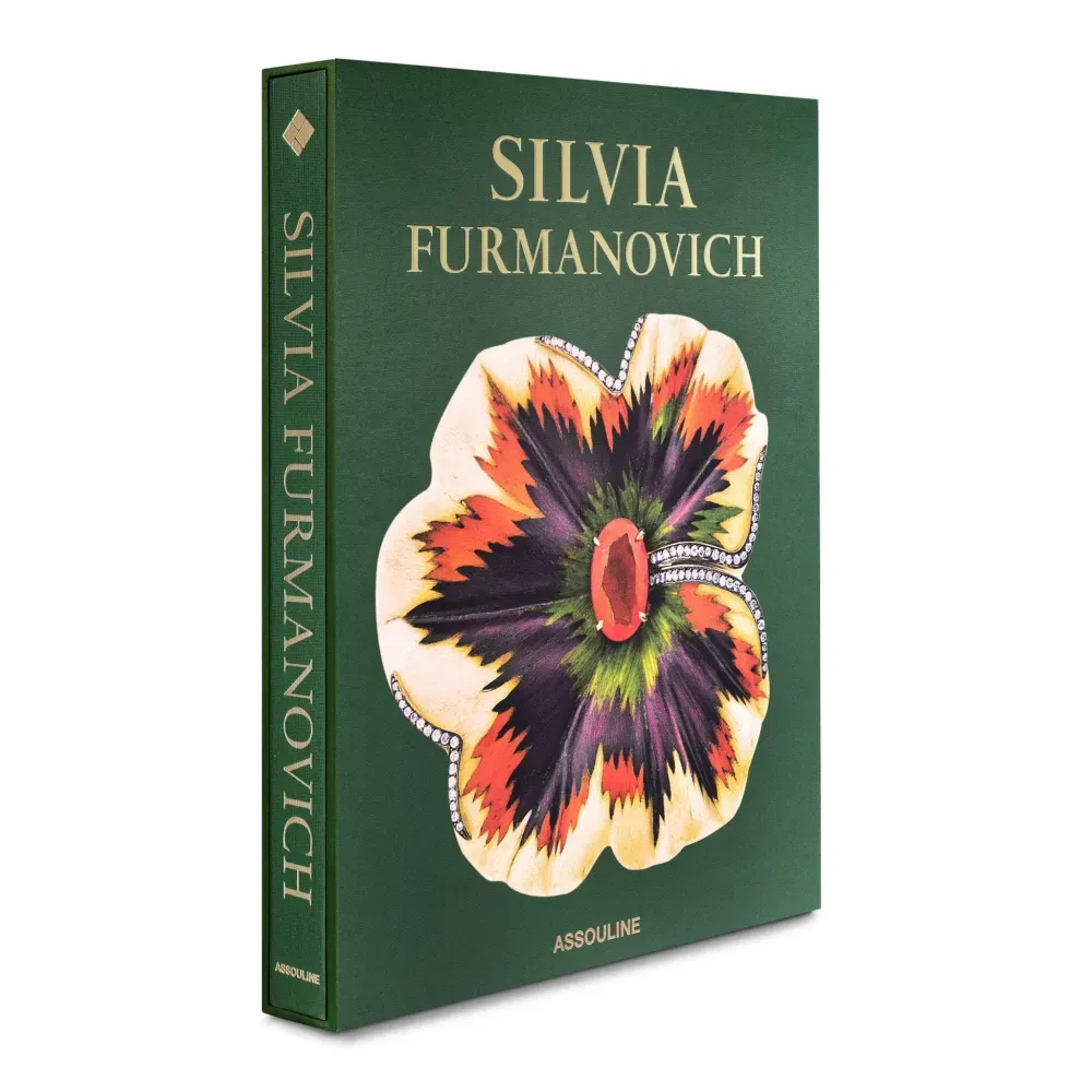 Книга Silvia Furmanovich фото 2