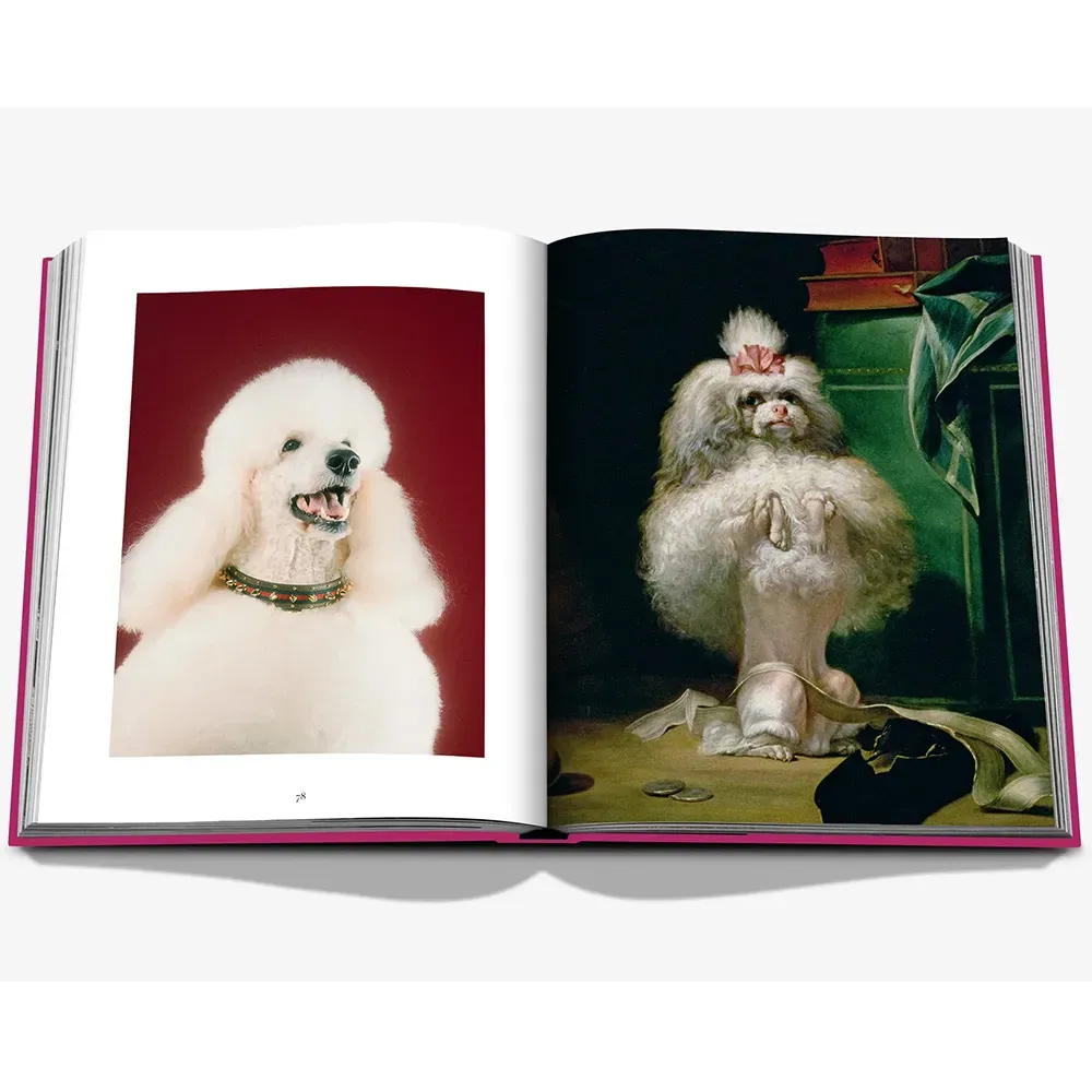 Книга Chic Dogs фото 7
