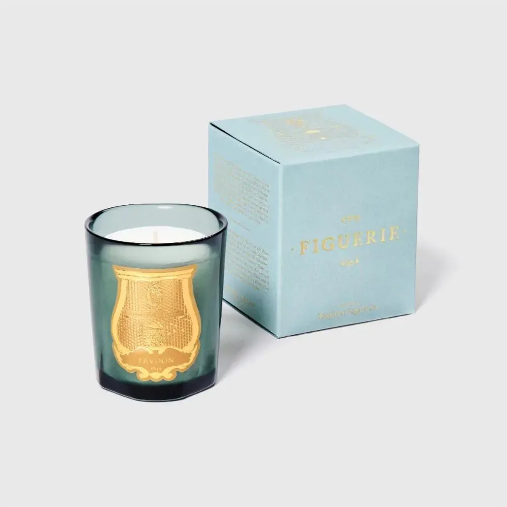 The Small Candle Figuerie 70 g фото 2