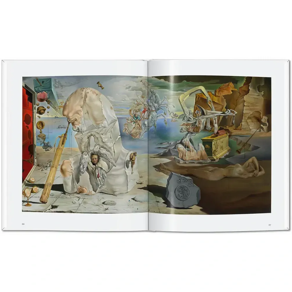 Книга Dalí фото 6