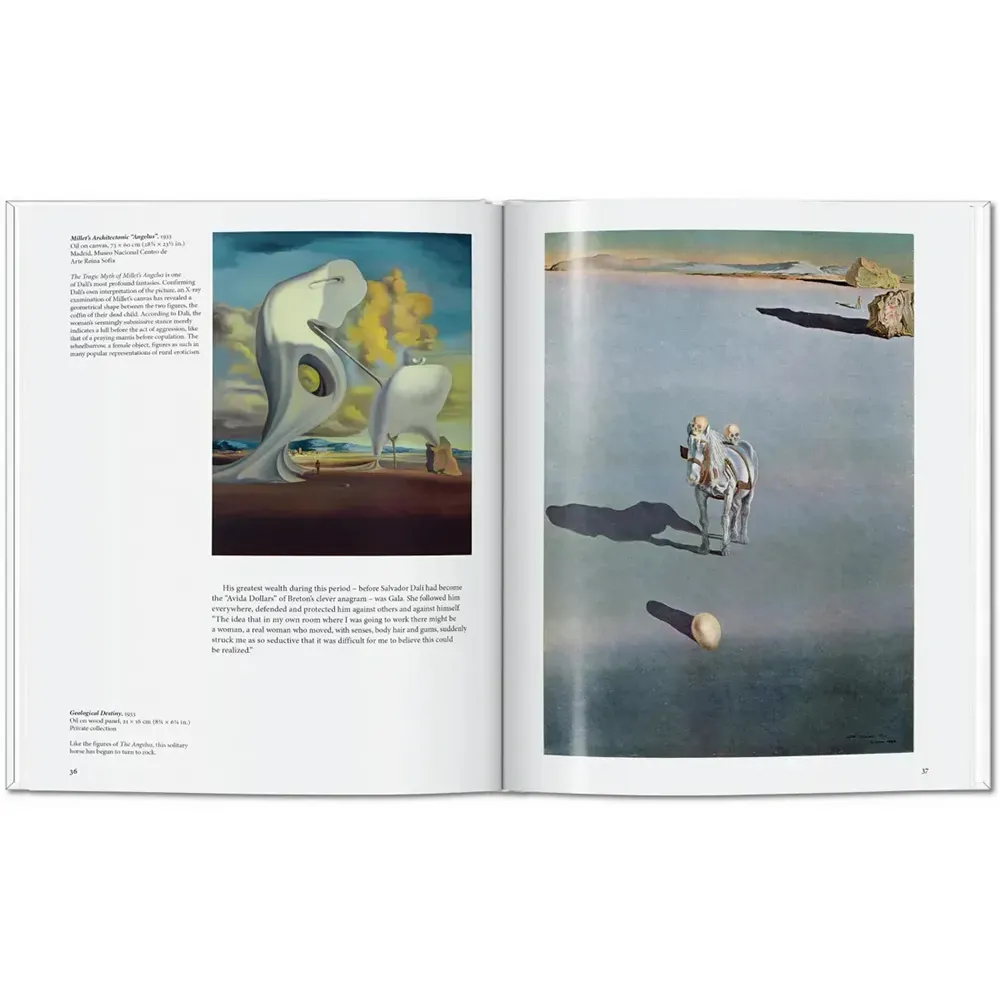 Книга Dalí фото 4