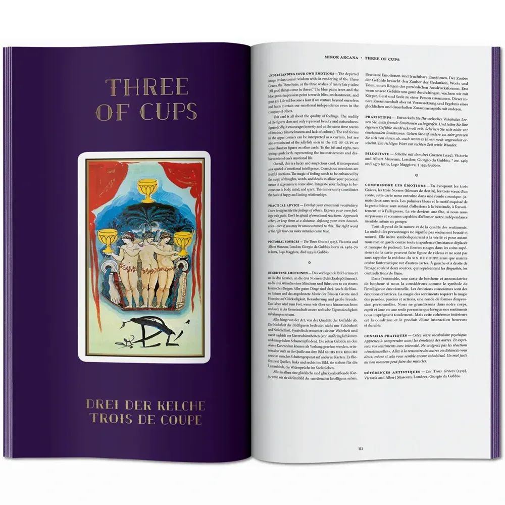 Книга Dalí. Tarot фото 6