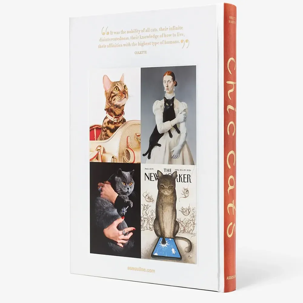 Книга Chic Cats фото 3
