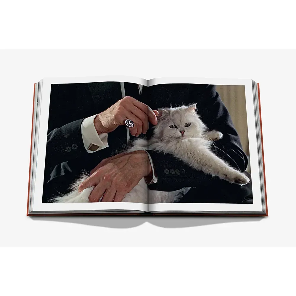 Книга Chic Cats фото 8