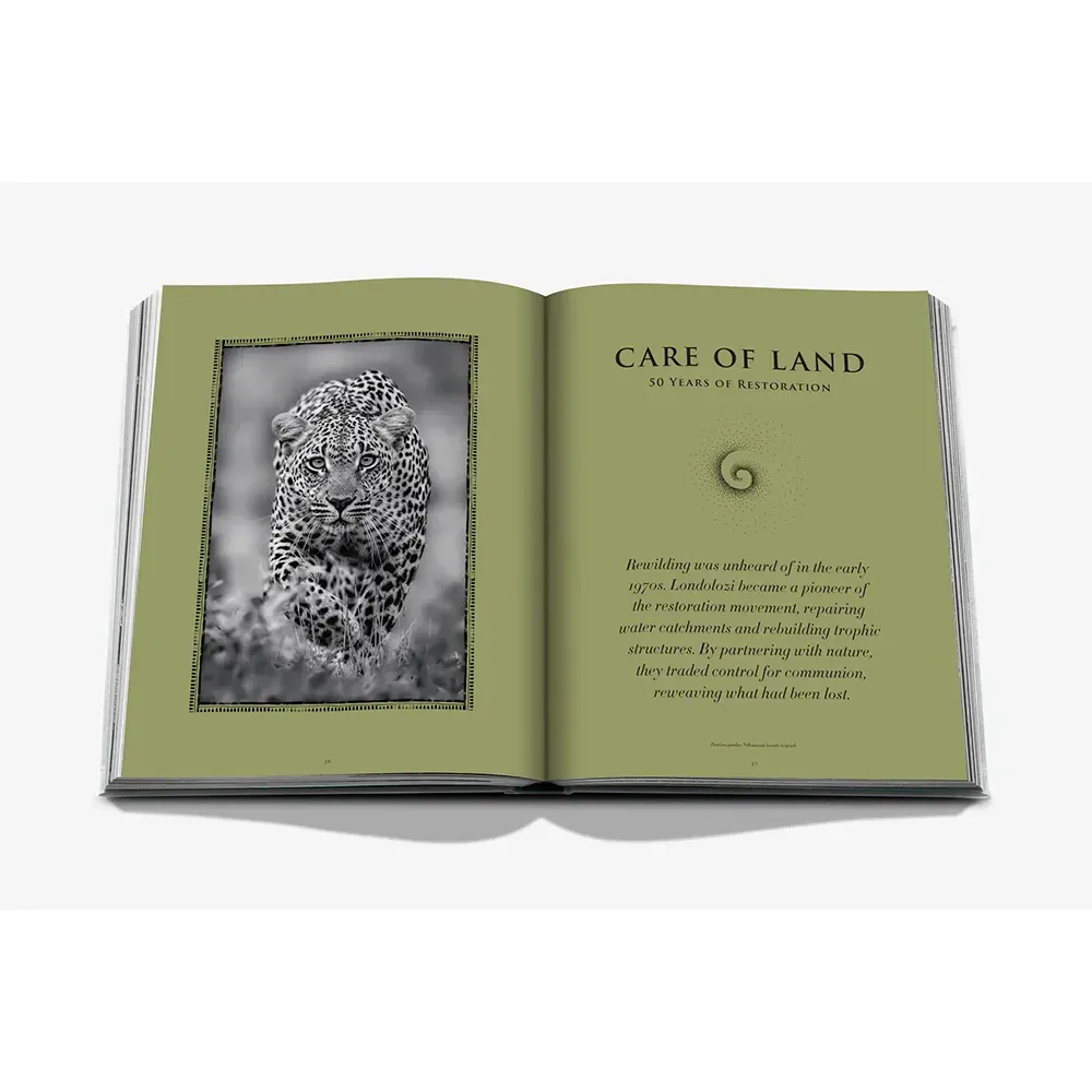 Книга Londolozi: The Safari that Changed Everything фото 7