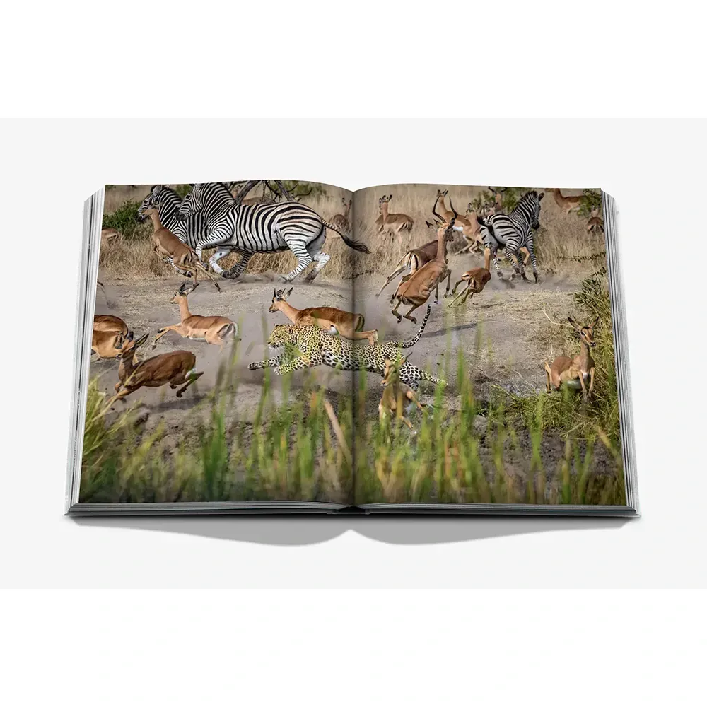 Книга Londolozi: The Safari that Changed Everything фото 8