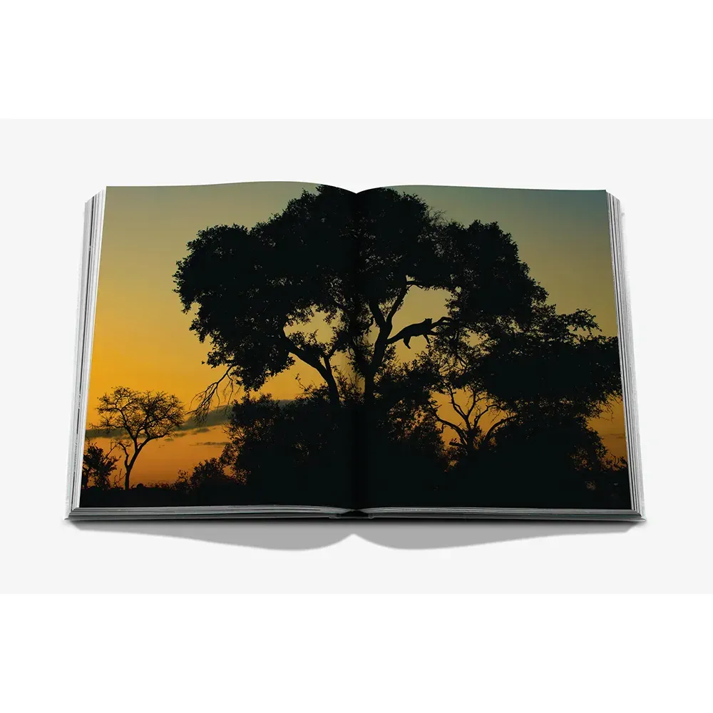 Книга Londolozi: The Safari that Changed Everything фото 4