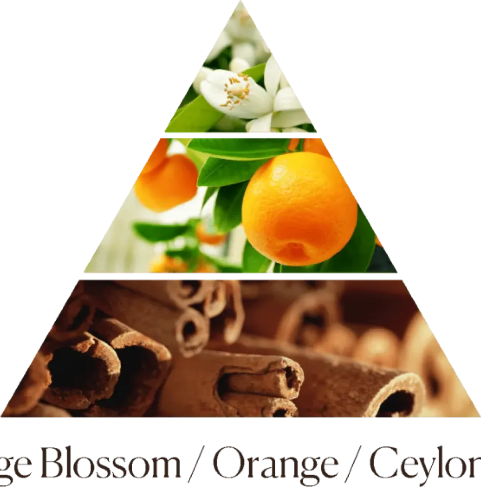 Диффузор Arancio Cannella 500 ml фото 3