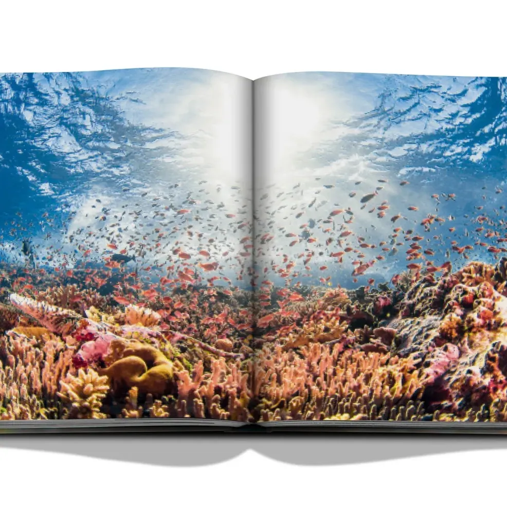 The Coral Triangle by Chris Leidy фото 10