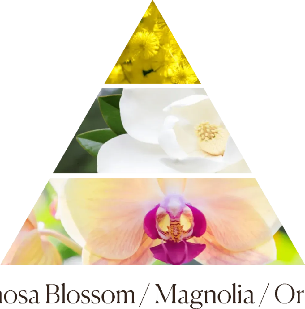 Дифузор Magnolia Orchidea 250 ml фото 3