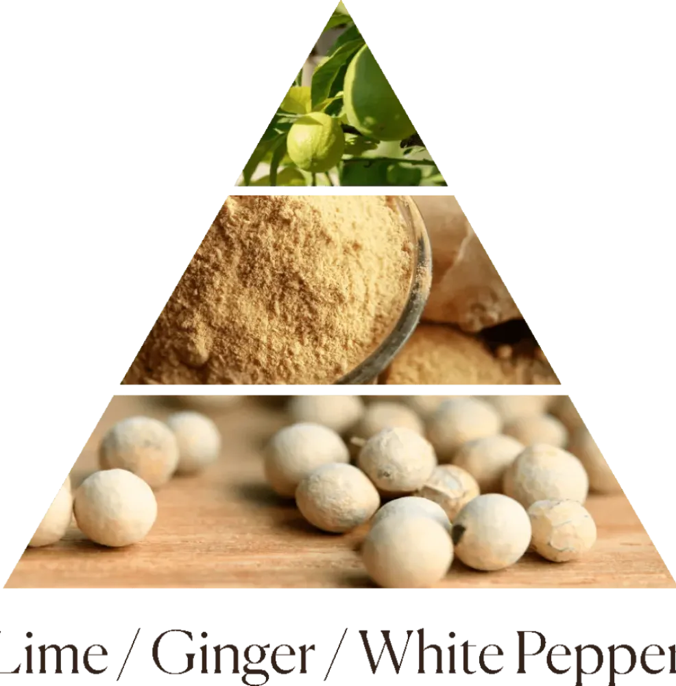 Дифузор Ginger Lime 500 ml фото 3