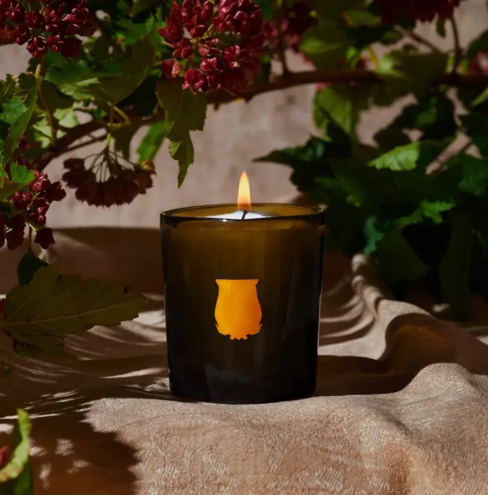 Candle ERNESTO 270 g фото 4