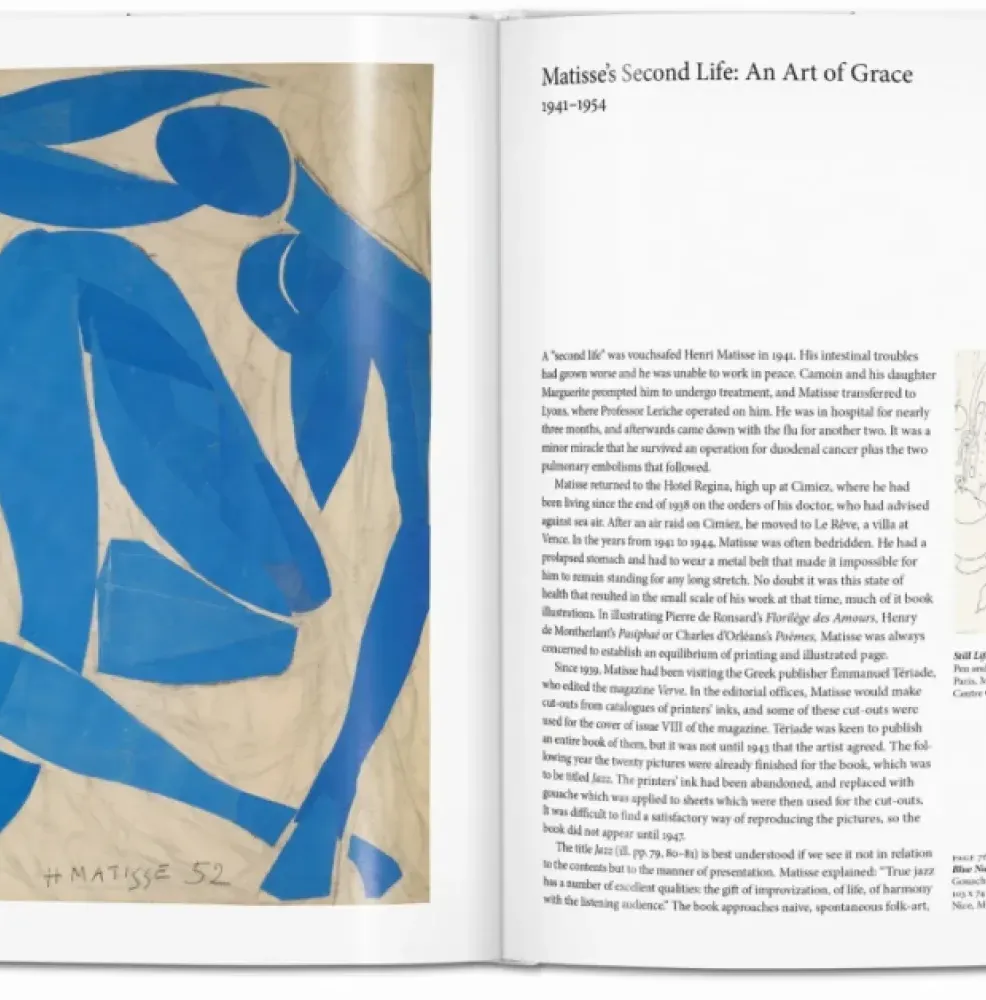 Matisse фото 8