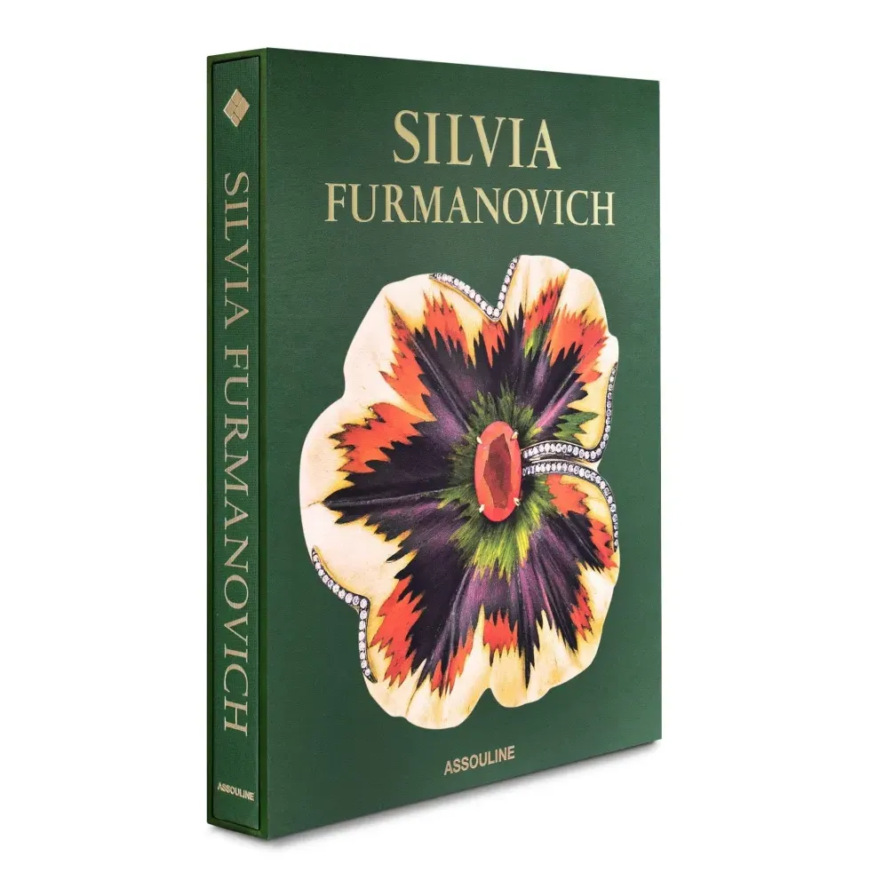 Книга Silvia Furmanovich фото 2
