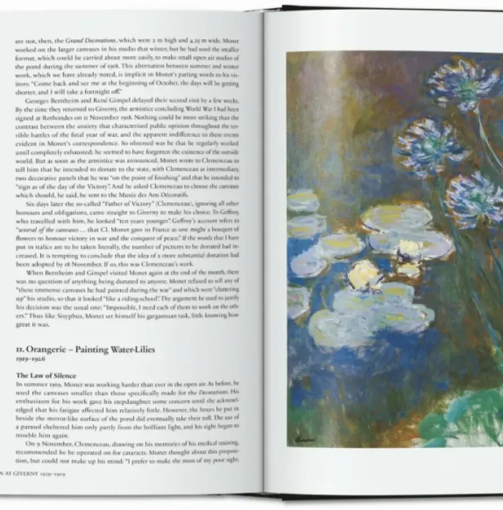 Monet. The Triumph of Impressionism фото 6
