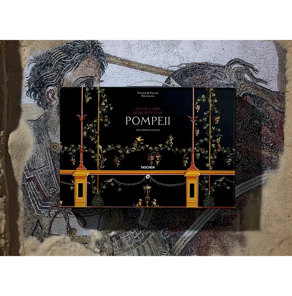 Fausto & Felice Niccolini. Houses and Monuments of Pompeii фото 3
