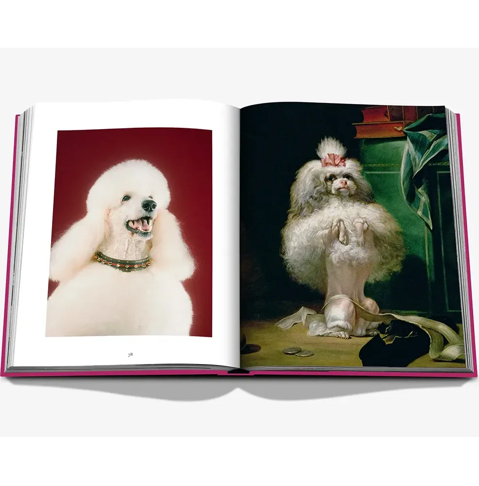 Книга Chic Dogs фото 7