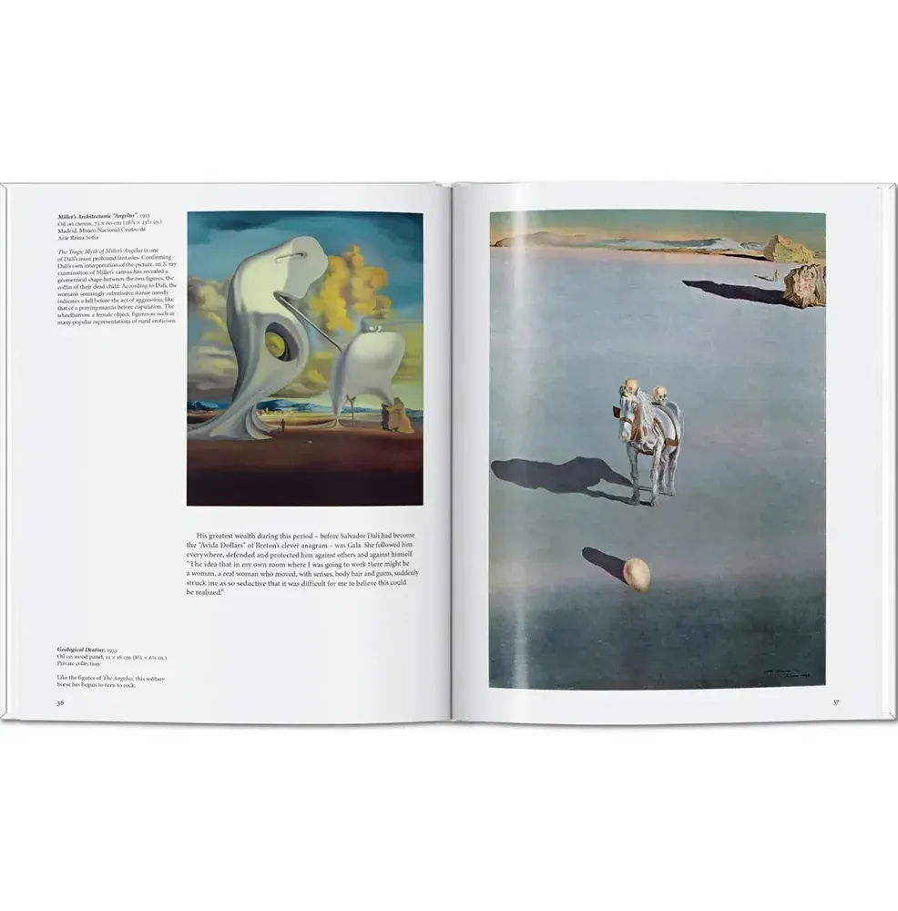 Книга Dalí фото 4