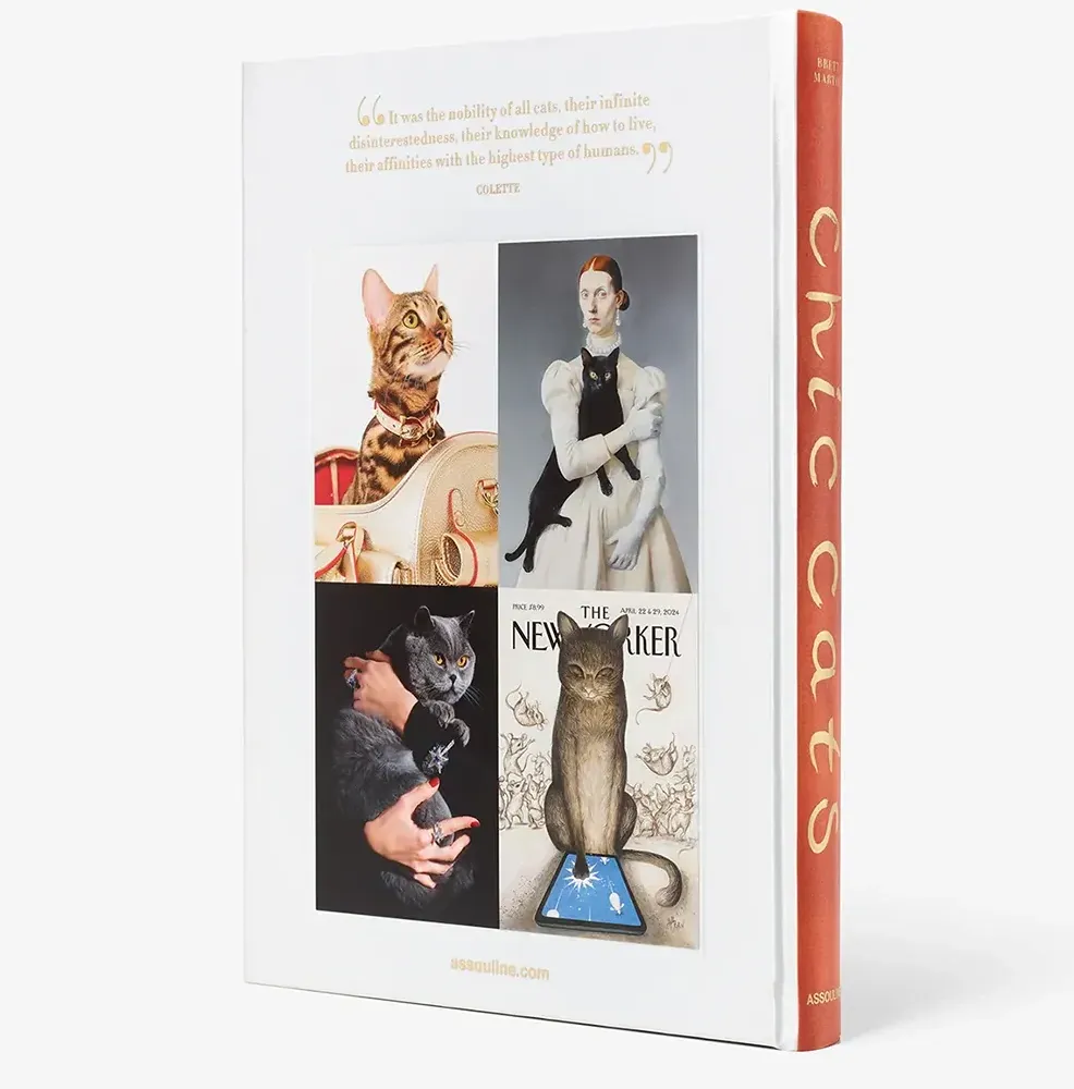 Книга Chic Cats фото 3