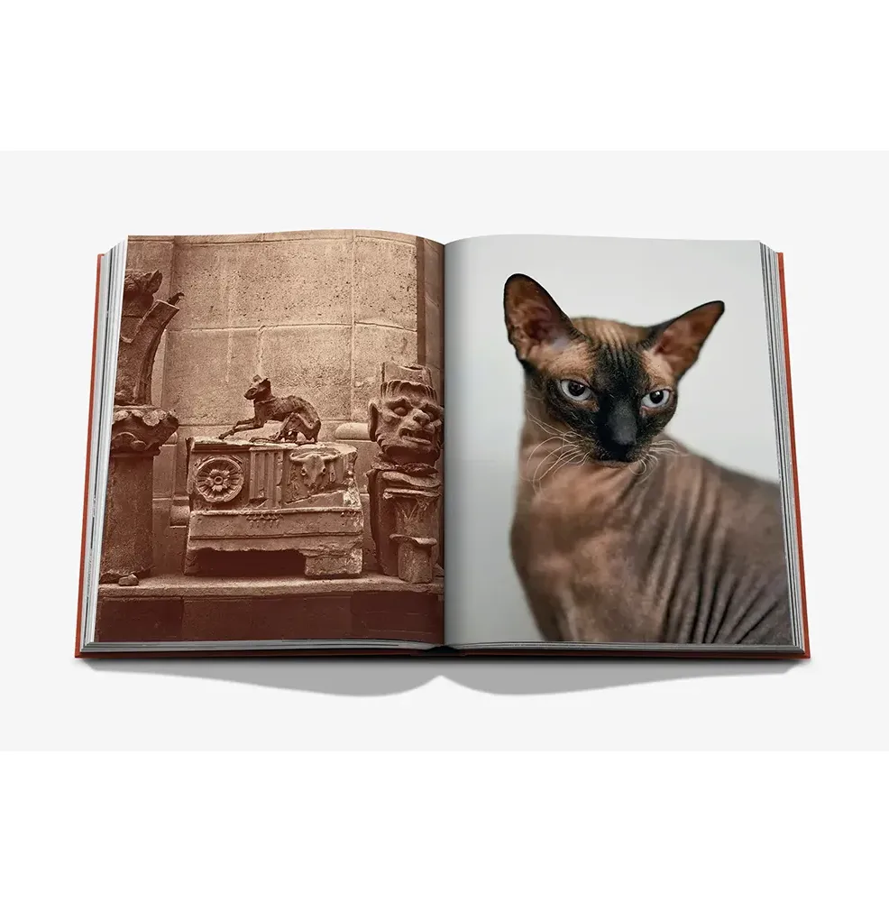 Книга Chic Cats фото 4