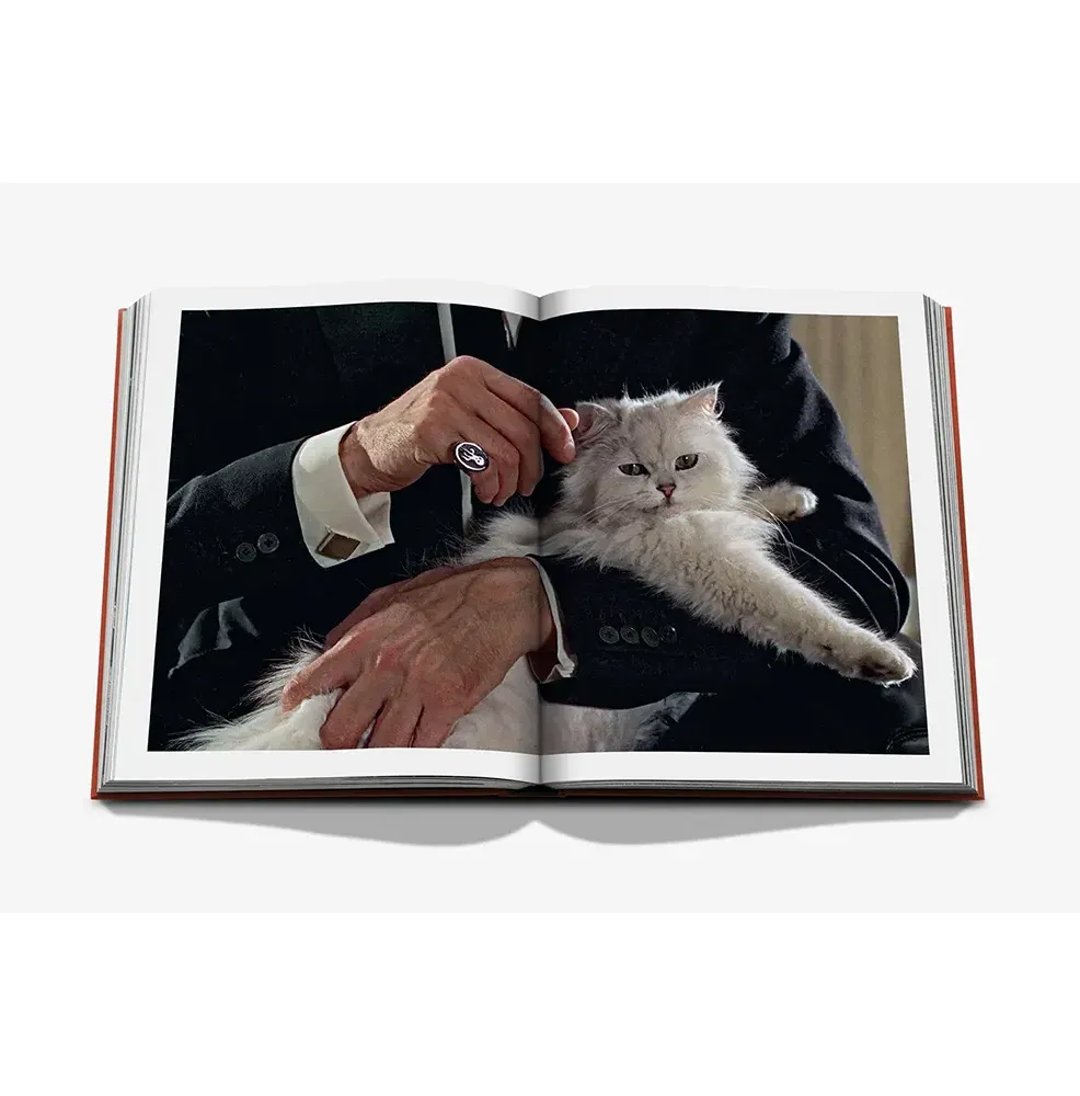 Книга Chic Cats фото 8