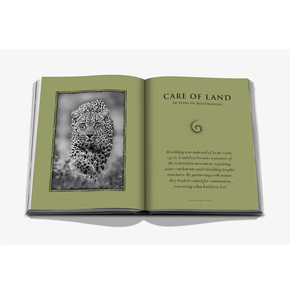 Книга Londolozi: The Safari that Changed Everything фото 7