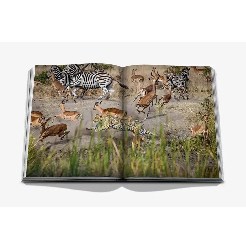 Книга Londolozi: The Safari that Changed Everything фото 8