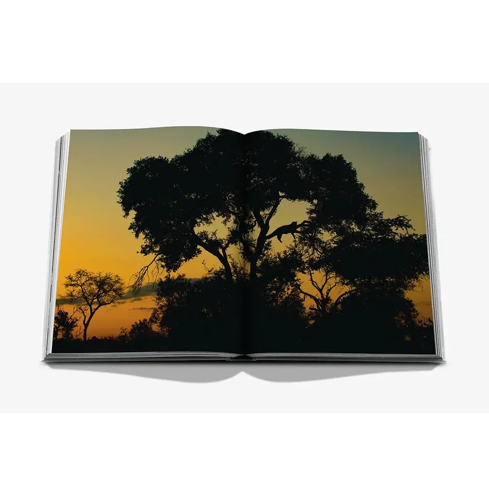 Книга Londolozi: The Safari that Changed Everything фото 4