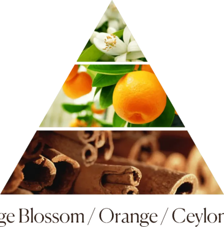 Диффузор Arancio Cannella 250 ml фото 3