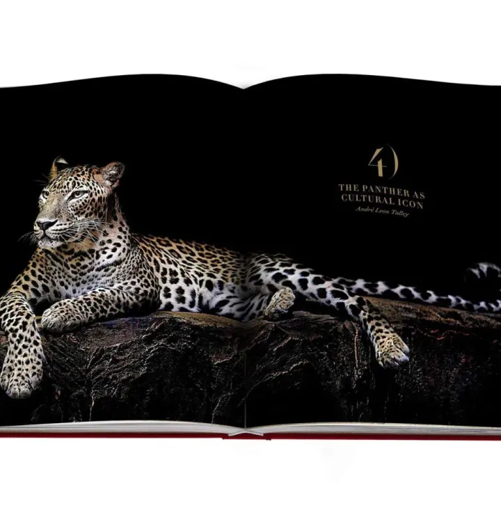 Cartier Panthère фото 7
